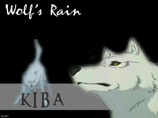 Kiba