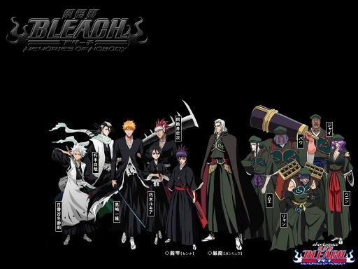 Bleach