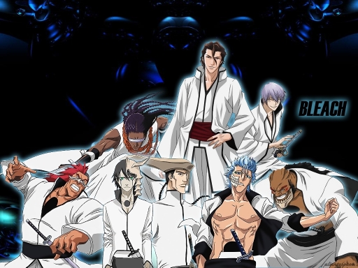 Bleach_4