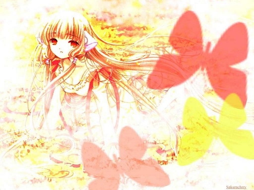 Chii-sun,butterfly