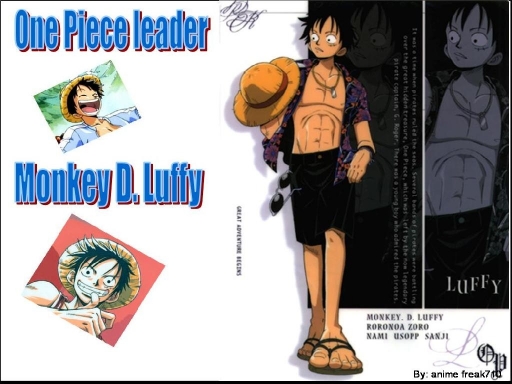 One Piece Leader