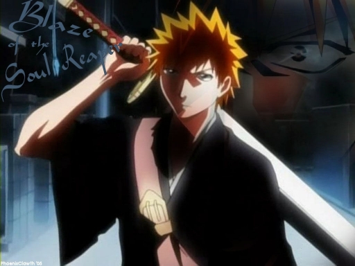 Blaze Of The Soul Reaper