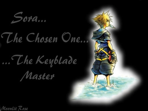 Keyblade Master