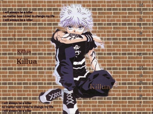 Killua The Killer