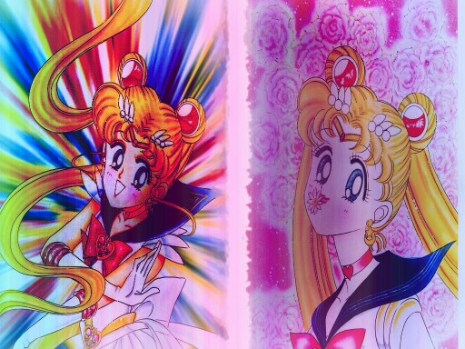 Sailor Moon Fun Sides