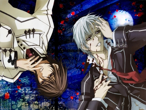 Vampire Knight Wallpaper