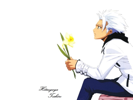 Hitsugaya (for Gaararulez41)