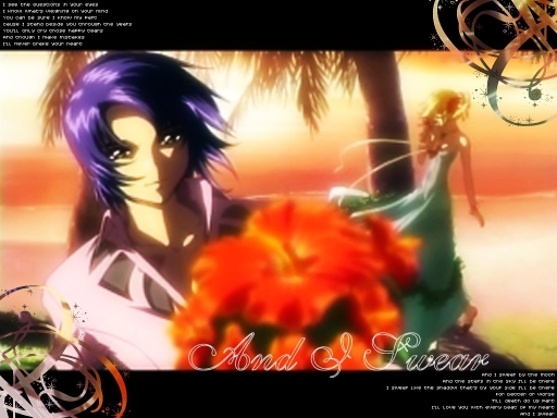 Athrun And Cagalli Wallpaper5