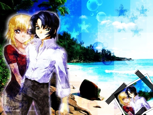 Athrun And Cagalli Wallpaper8