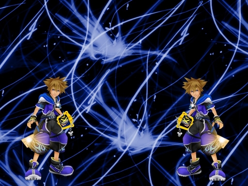 Sora: Wisdom Form