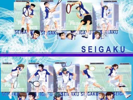 The Seigaku Regulars