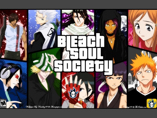 Bleach Soul Society