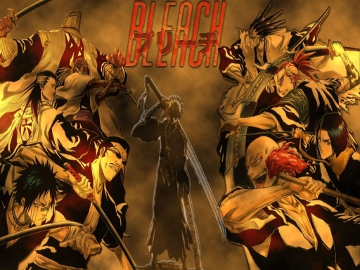 Bleach Anime