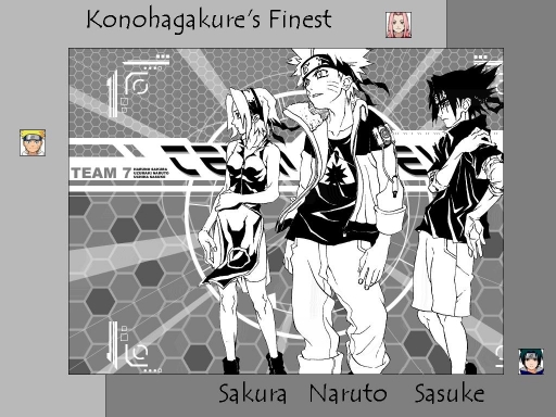 TEAM 7