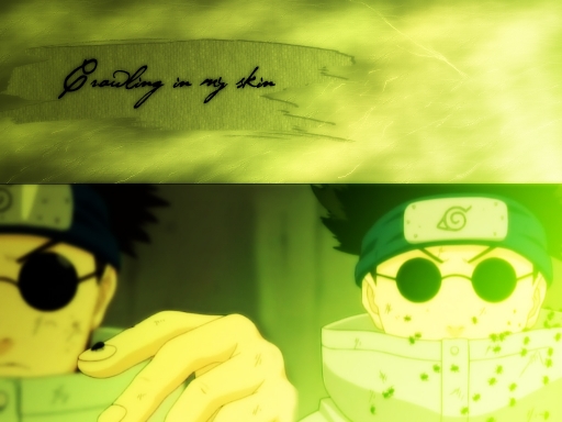 Shino Aburame