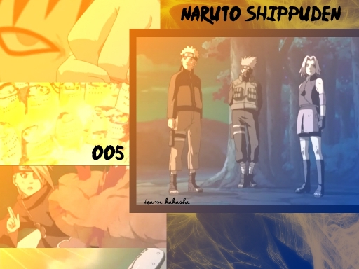 Naruto Shippuden 005