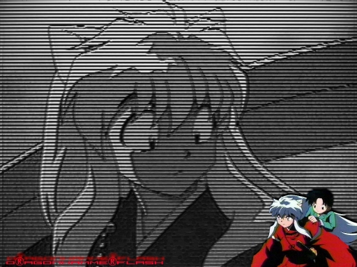 inuyasha looks at himself