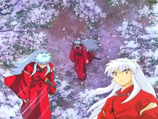 Cherrie Blossem Inuyasha