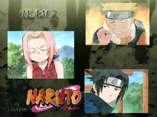 Team 7