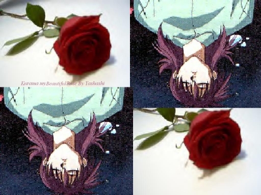 Kurama My Beautiful Rose