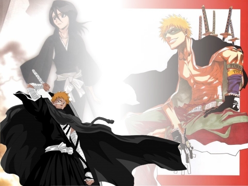 Bleach Couple Of Terror