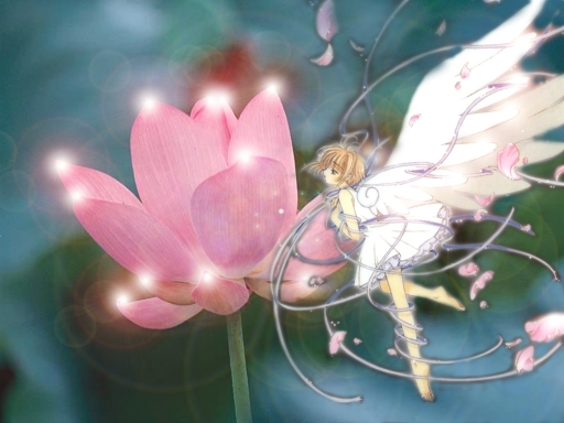 Cs Wings Of Sakura
