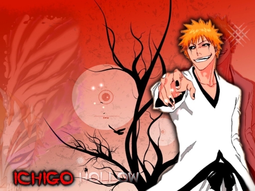 Ichigo Hollow Visions