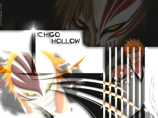 Ichigo In his Hollow State