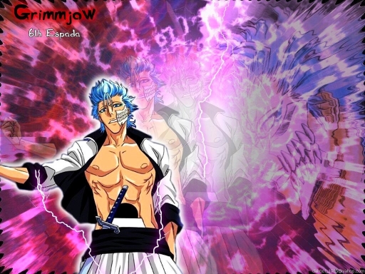 Grimmjow...................