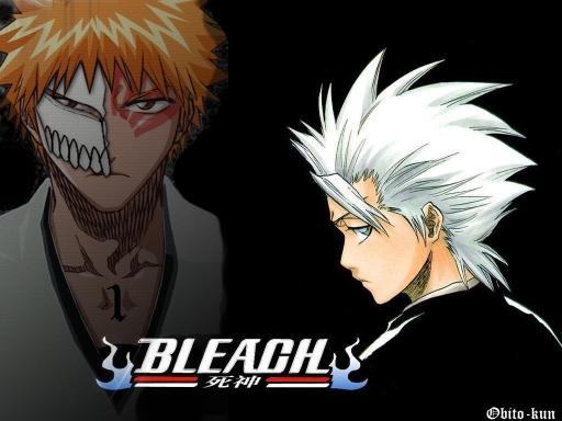 Espada And Hitsugaya