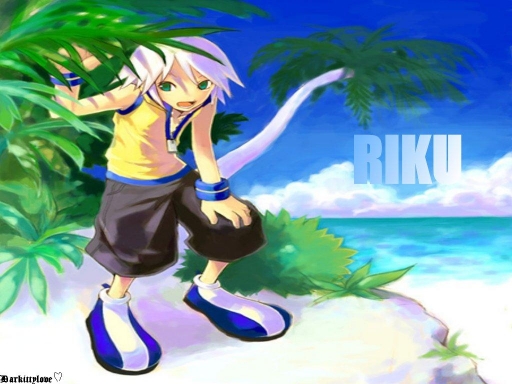 Kid Riku