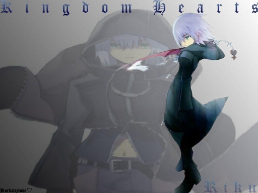 Shadow Riku