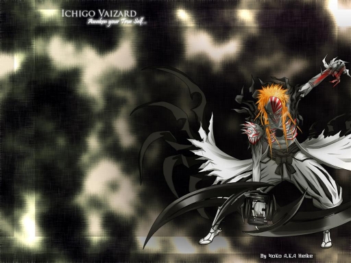 Ichigo Vaizard