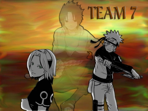 TEAM 7