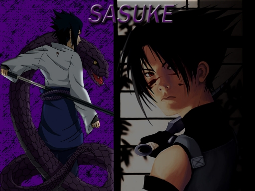 SASUKE