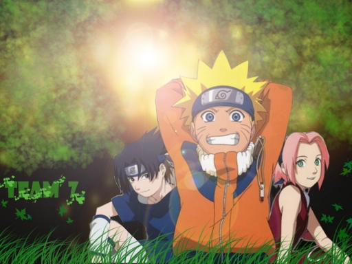 Team 7