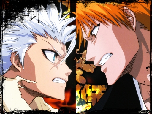 Hitsugaya + Ichigo