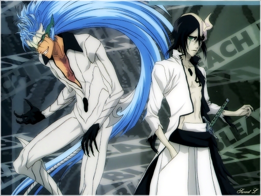 Grimmjow + Ulquiorra