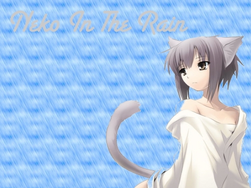 Neko In The Rain