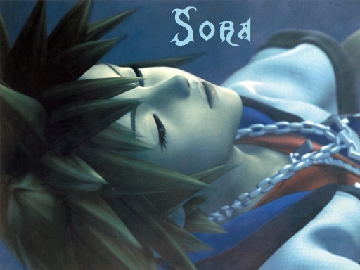 Sora floats