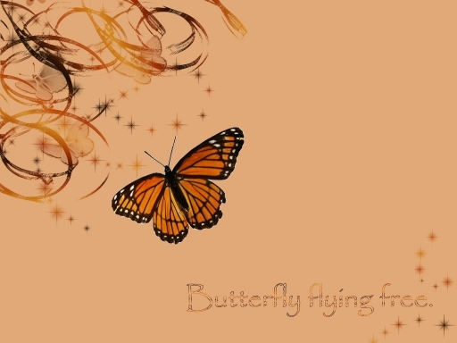 orange butterfly