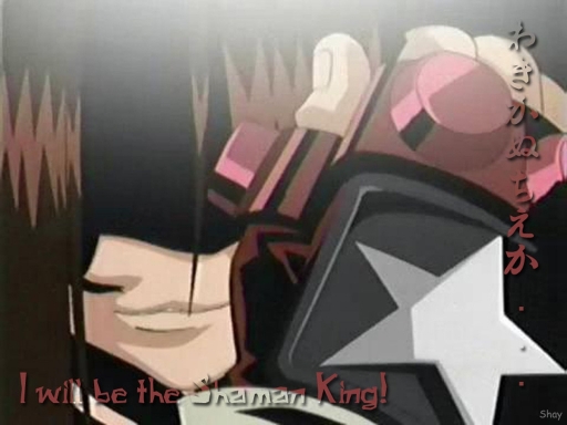 The True Shaman King