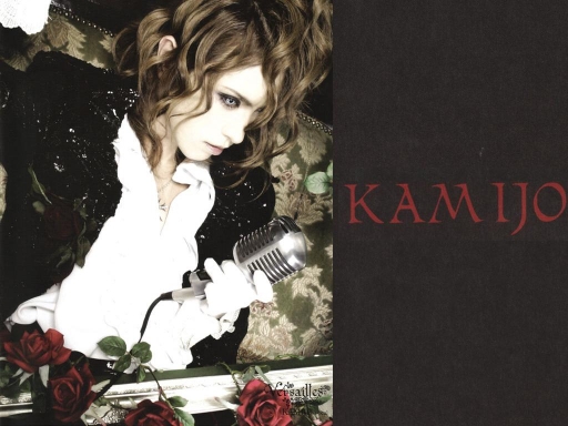 - Kamijo -