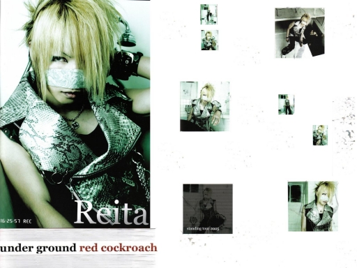 Red Cockroach: Reita