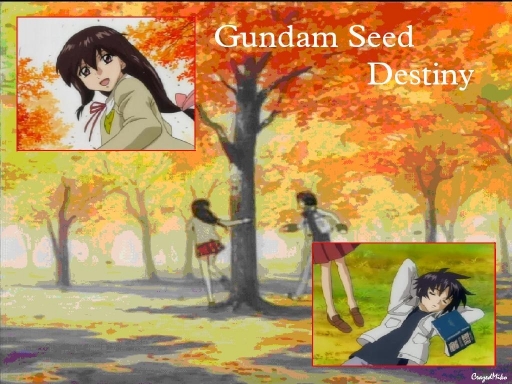 Gundam Seed Destiny