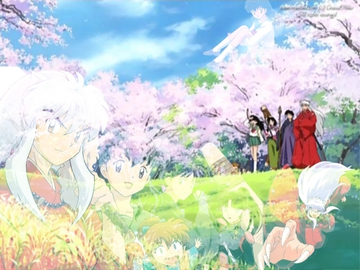 Beautiful Inuyasha Scene