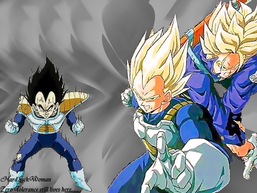 Trunks And Vegeta