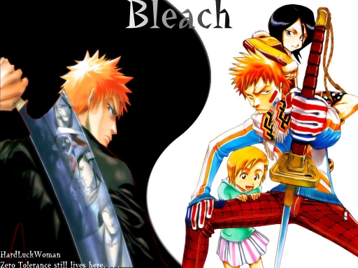 Bleach