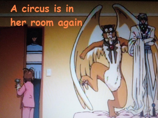 A rooms circus