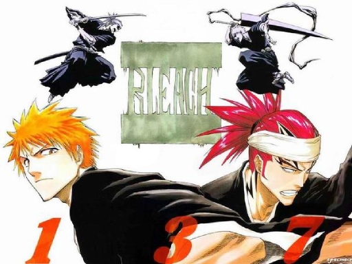 Bleach Vs